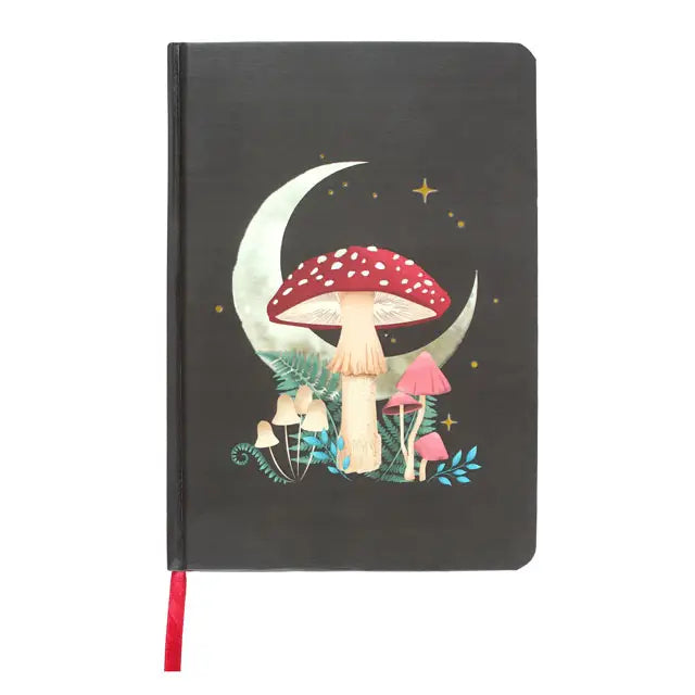Dark Forest Notebook
