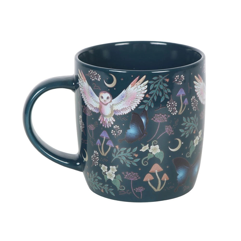 Flying Night Owl Mug